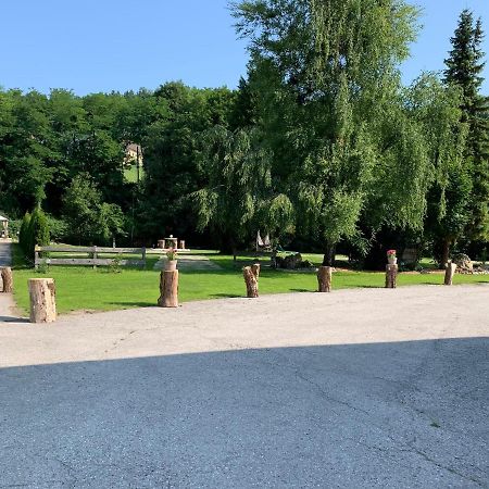 Landgasthof Steinmuehl Hofbauer Fruehstueckspension Und Campingplatz Вайдхофен-ан-дер-Ибс Экстерьер фото