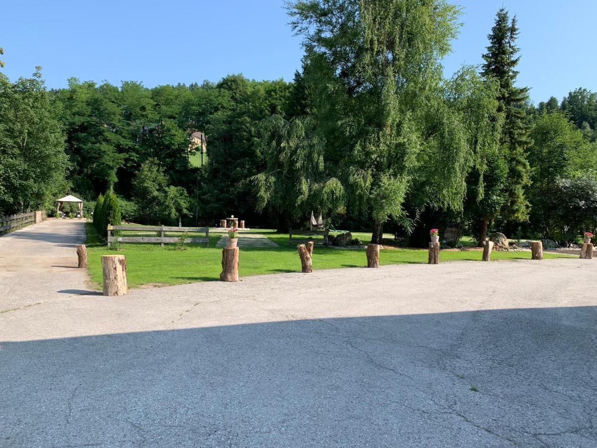 Landgasthof Steinmuehl Hofbauer Fruehstueckspension Und Campingplatz Вайдхофен-ан-дер-Ибс Экстерьер фото